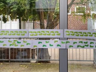 Wir sammeln grüne Füße
