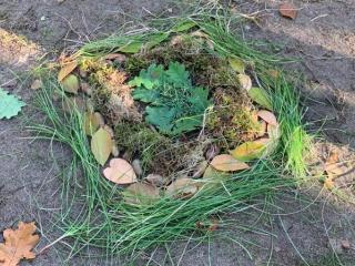 Waldmandala2