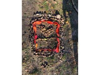 Waldmandala4